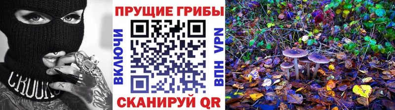 Купить  Катав-Ивановск  Псилоцибиновые грибы мицелий 